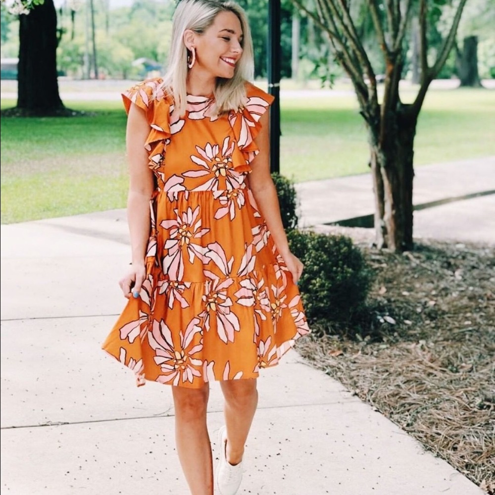 Crosby by Mollie Burch Millie dress sz large NWOT